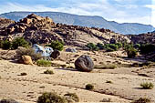 Marocco meridionale - Escursione a piedi nei pressi di Tafraoute, lungo il sentiero che porta alle rocce dipinte e alla roccia chiamata 'il cappello di Napoleone'.